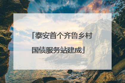 泰安首个齐鲁乡村国债服务站建成