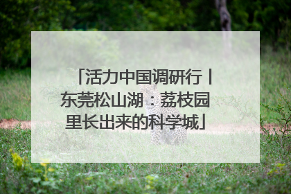活力中国调研行丨东莞松山湖：荔枝园里长出来的科学城