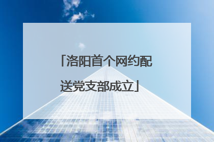 洛阳首个网约配送党支部成立