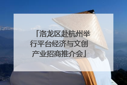 洛龙区赴杭州举行平台经济与文创产业招商推介会