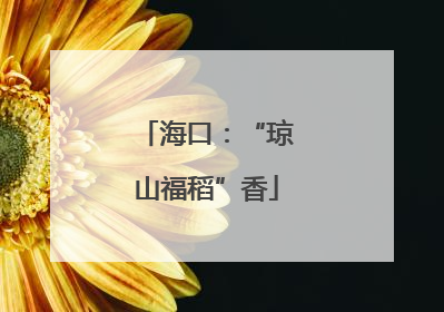 海口：“琼山福稻”香