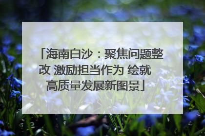 海南白沙：聚焦问题整改 激励担当作为 绘就高质量发展新图景