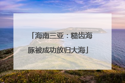 海南三亚：糙齿海豚被成功放归大海