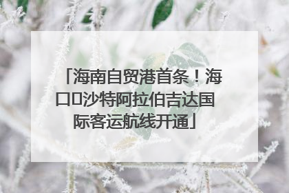 海南自贸港首条！海口⇌沙特阿拉伯吉达国际客运航线开通