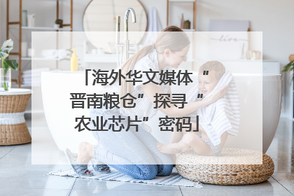 海外华文媒体“晋南粮仓”探寻“农业芯片”密码