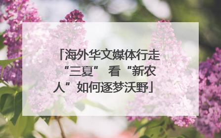 海外华文媒体行走“三夏” 看“新农人”如何逐梦沃野