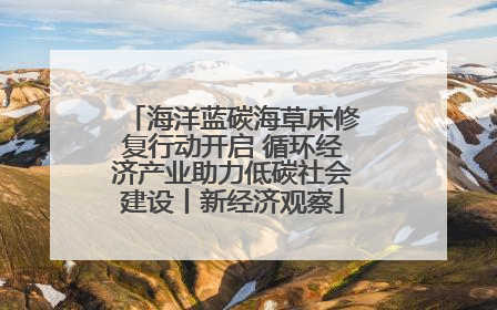 海洋蓝碳海草床修复行动开启 循环经济产业助力低碳社会建设丨新经济观察