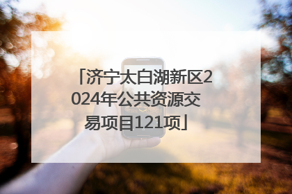 济宁太白湖新区2024年公共资源交易项目121项