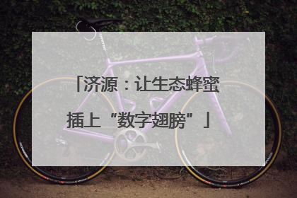 济源：让生态蜂蜜插上“数字翅膀”