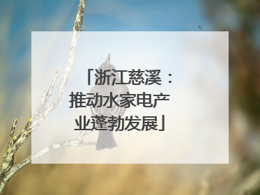 浙江慈溪：推动水家电产业蓬勃发展