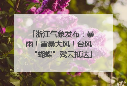 浙江气象发布：暴雨！雷暴大风！台风“蝴蝶”残云抵达