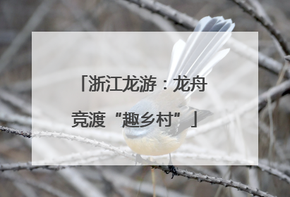 浙江龙游：龙舟竞渡“趣乡村”