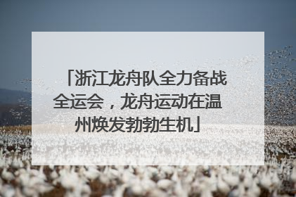 浙江龙舟队全力备战全运会，龙舟运动在温州焕发勃勃生机