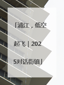 浦江，低空起飞｜2025对话街镇