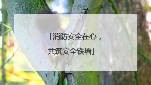 消防安全在心，共筑安全铁墙