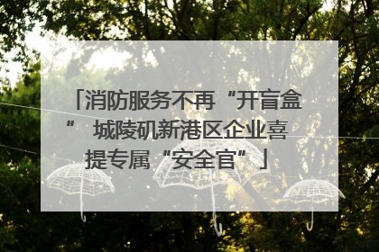 消防服务不再“开盲盒” 城陵矶新港区企业喜提专属“安全官”