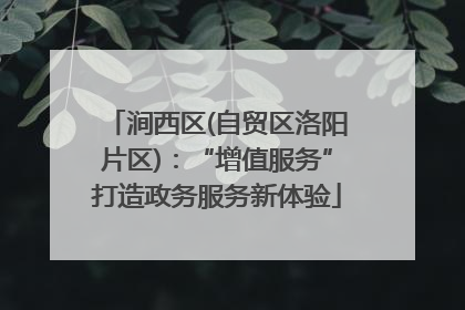 涧西区(自贸区洛阳片区)：“增值服务”打造政务服务新体验