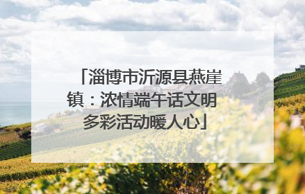 淄博市沂源县燕崖镇：浓情端午话文明 多彩活动暖人心