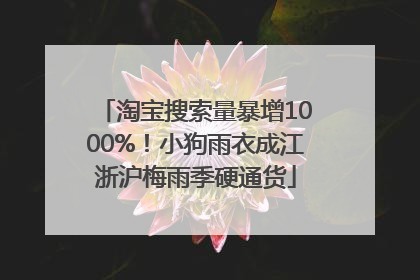 淘宝搜索量暴增1000%！小狗雨衣成江浙沪梅雨季硬通货