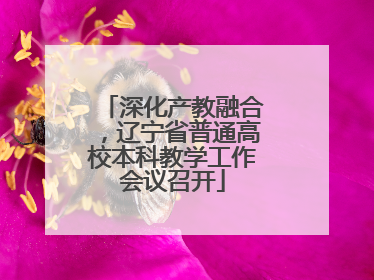 深化产教融合，辽宁省普通高校本科教学工作会议召开