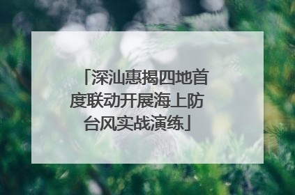 深汕惠揭四地首度联动开展海上防台风实战演练