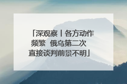 深观察丨各方动作频繁  俄乌第二次直接谈判前景不明