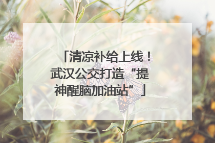 清凉补给上线！武汉公交打造“提神醒脑加油站”