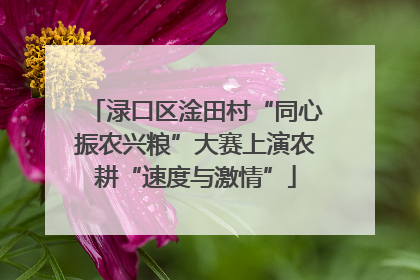 渌口区淦田村“同心振农兴粮”大赛上演农耕“速度与激情”