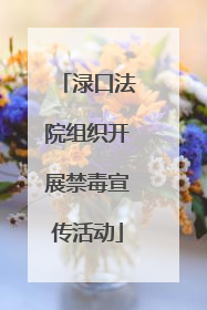 渌口法院组织开展禁毒宣传活动