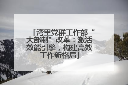 湾里党群工作部“大部制”改革：激活效能引擎，构建高效工作新格局