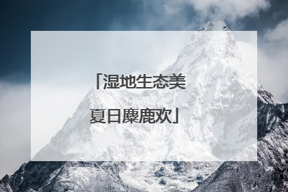 湿地生态美 夏日麋鹿欢