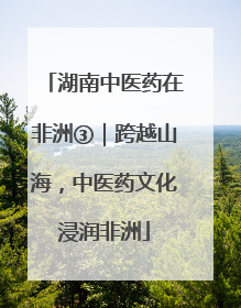 湖南中医药在非洲③｜跨越山海，中医药文化浸润非洲