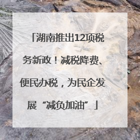 湖南推出12项税务新政！减税降费、便民办税，为民企发展“减负加油”