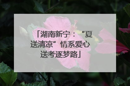湖南新宁：“夏送清凉”情系爱心送考逐梦路