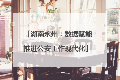 湖南永州：数据赋能推进公安工作现代化