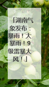 湖南气象发布：暴雨！大暴雨！9级雷暴大风！
