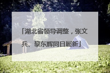 湖北省领导调整，张文兵、黎东辉同日履新