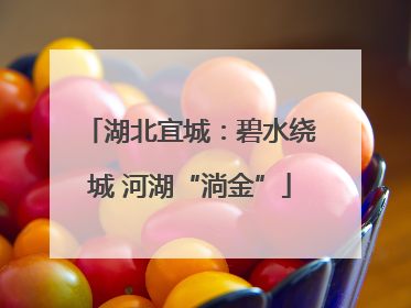 湖北宜城：碧水绕城 河湖“淌金”