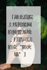 湖北高院上线智能网拍预警系统，打造司法拍卖“防火墙”