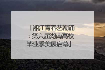 湘江青春艺潮涌：第六届湖南高校毕业季美展启幕