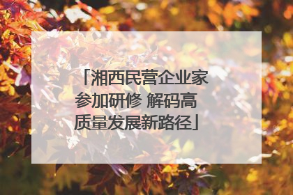 湘西民营企业家参加研修 解码高质量发展新路径