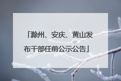 滁州、安庆、黄山发布干部任前公示公告