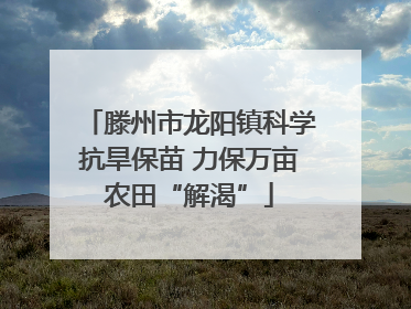 滕州市龙阳镇科学抗旱保苗 力保万亩农田“解渴”