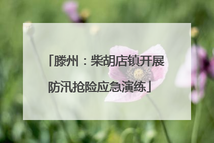 滕州：柴胡店镇开展防汛抢险应急演练