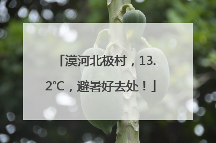 漠河北极村，13.2℃，避暑好去处！