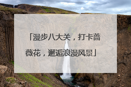 漫步八大关，打卡蔷薇花，邂逅浪漫风景