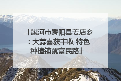 漯河市舞阳县姜店乡：大蒜喜获丰收 特色种植铺就富民路