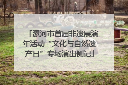 漯河市首届非遗展演年活动“文化与自然遗产日”专场演出侧记
