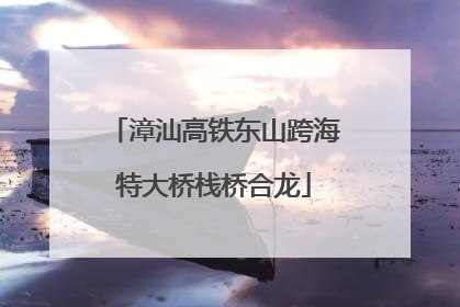 漳汕高铁东山跨海特大桥栈桥合龙