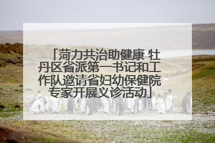 菏力共治助健康 牡丹区省派第一书记和工作队邀请省妇幼保健院专家开展义诊活动